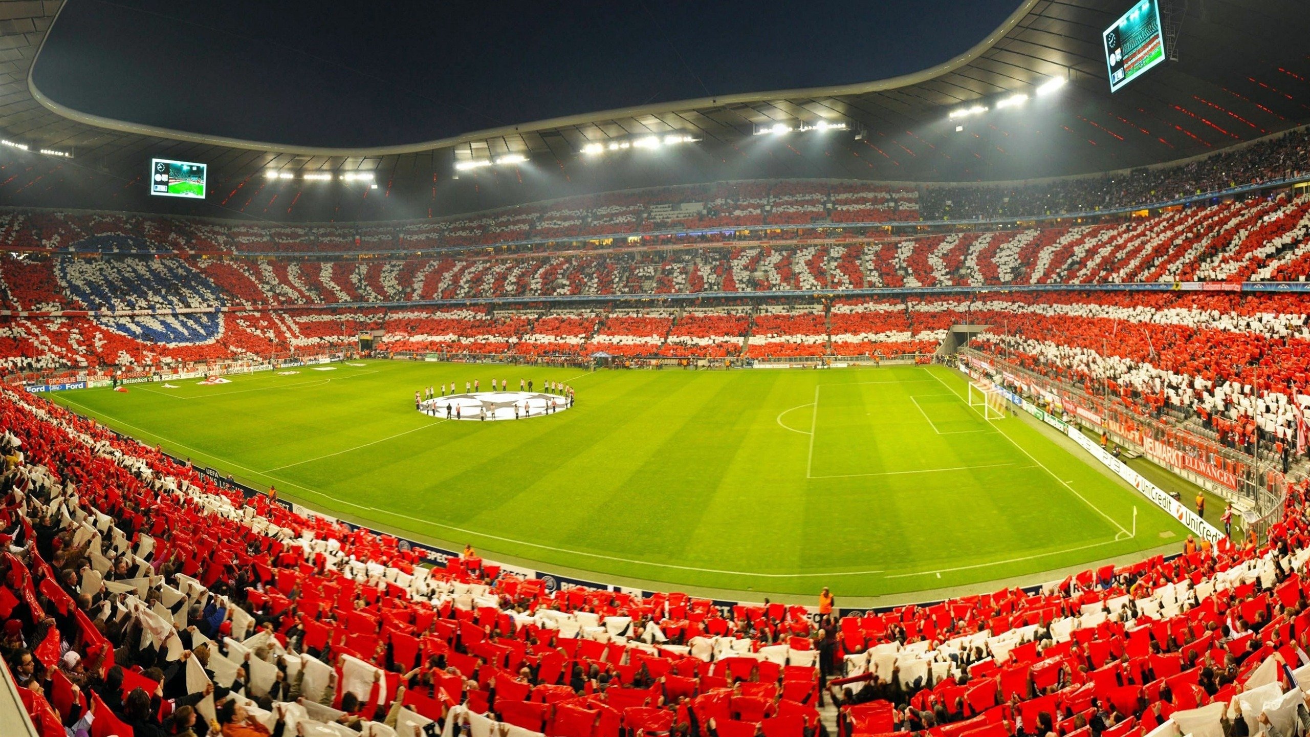 女子体育蓬勃发展 巾帼英雄闪耀国际赛场